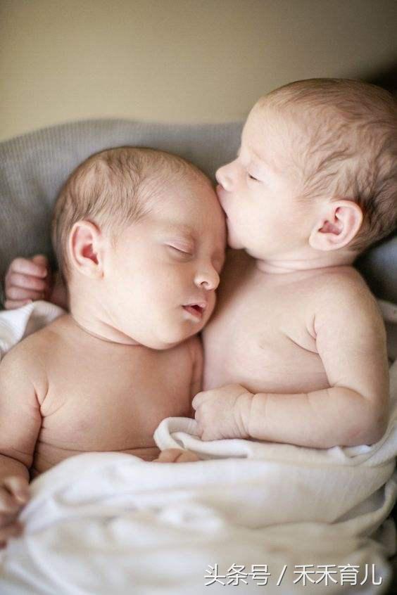 试管婴儿双胞胎几率有多大？试管婴儿双胞胎费