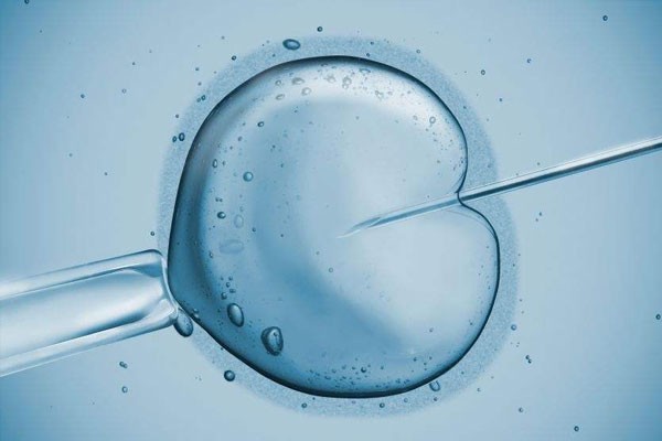 胚胎冷冻后能保存多久？